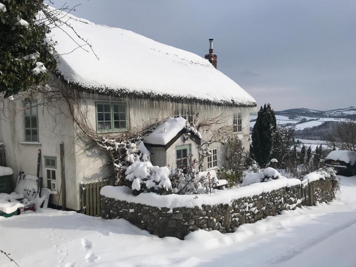Remote Thatch On Dartmoor With Hot Tub