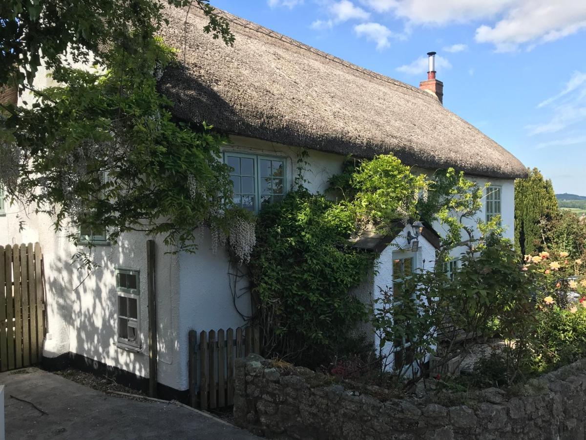 Remote Thatch On Dartmoor With Hot Tub *