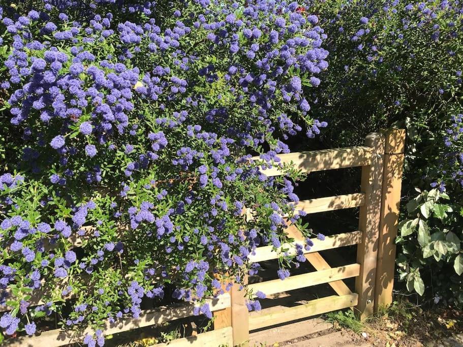 Rustic Lodge, Stunning Views & Star Gazing Bath Casa de férias Exeter