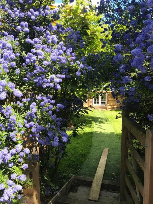 Rustic Lodge, Stunning Views & Star Gazing Bath *