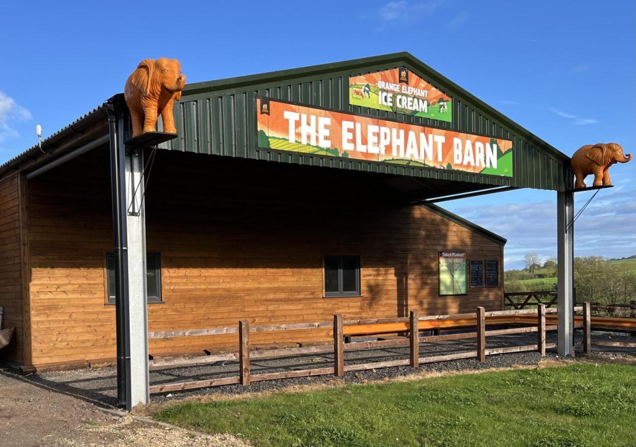 Wagon Linhay - Orange Elephant Exeter