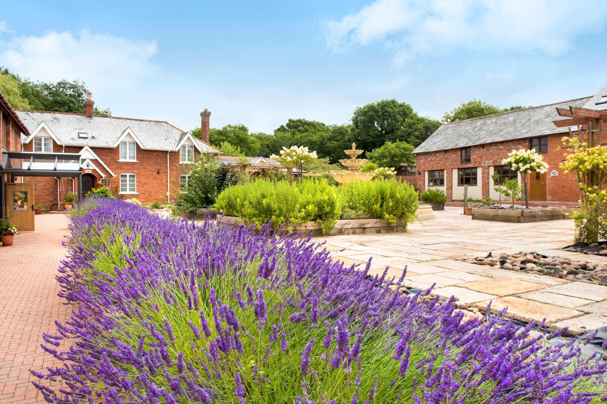 Poppy Holiday home *