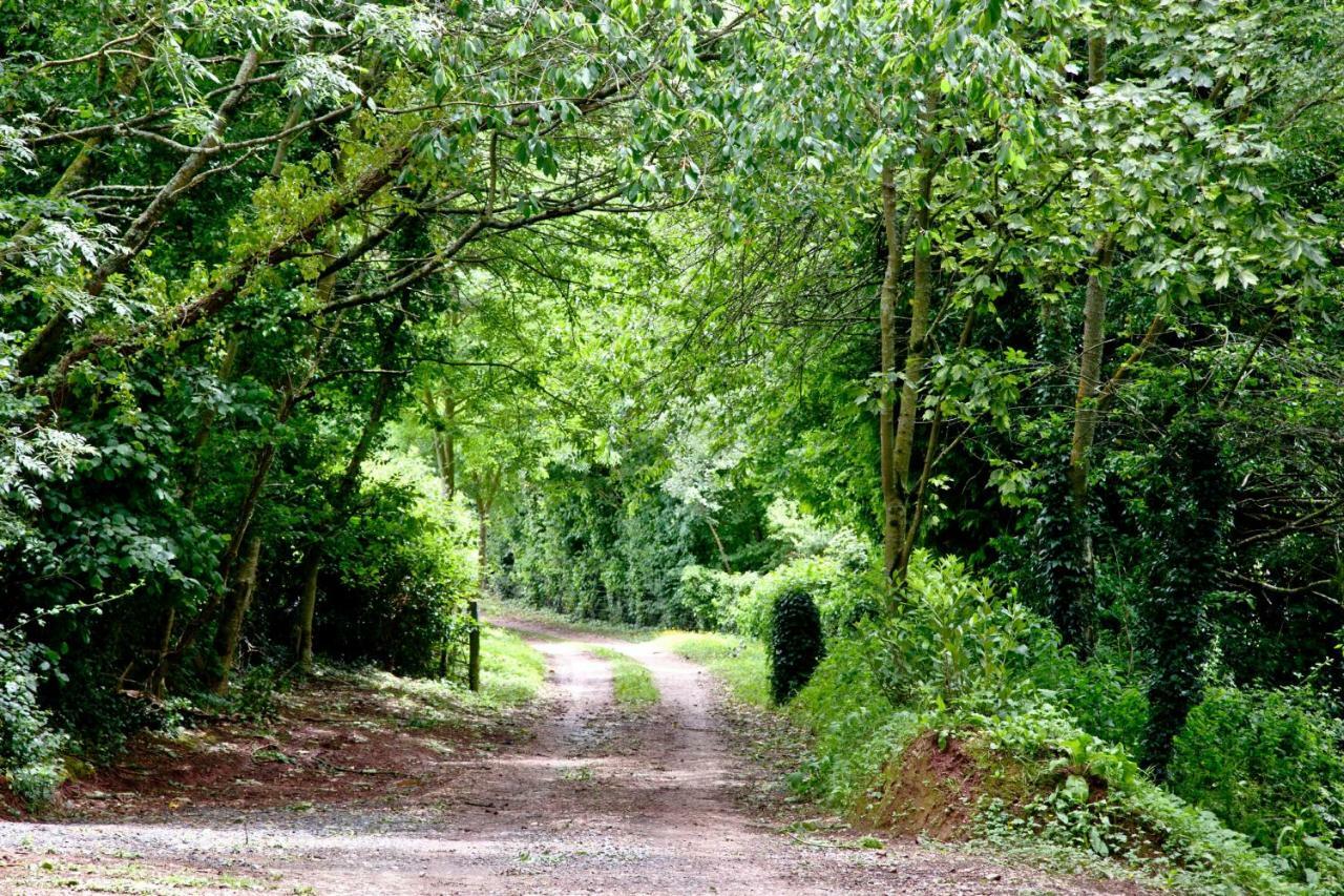Willow Lodge, South View Lodges, Holiday home
