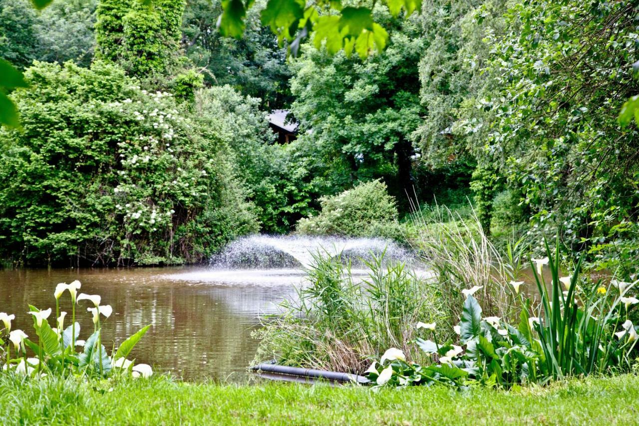 Willow Lodge, South View Lodges, Exeter