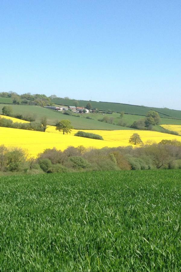 Apartamento The Brick Barn, Drewsteignton Exeter