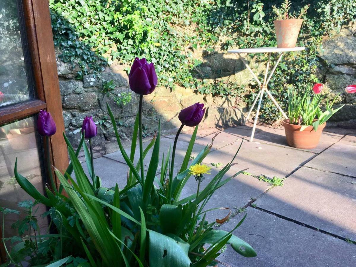 Secret Garden Exeter