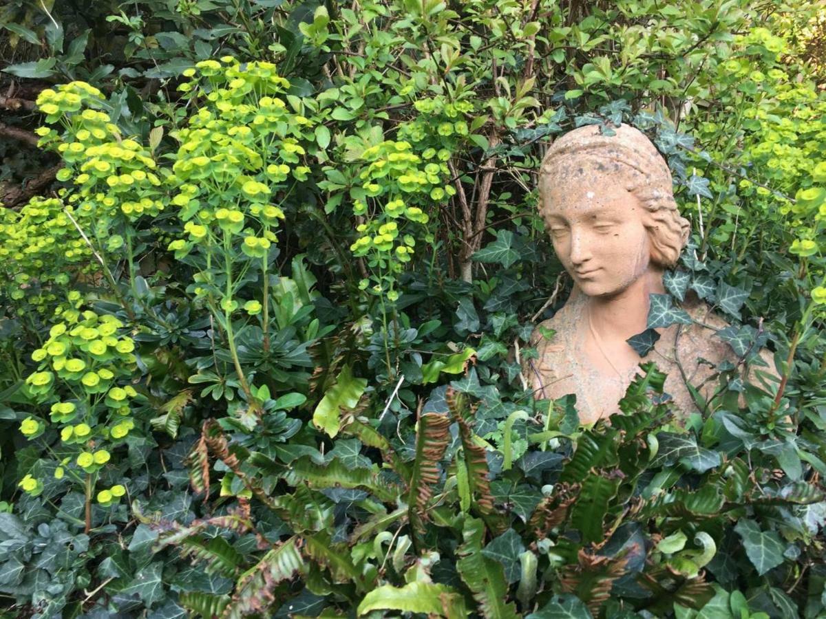 Secret Garden *