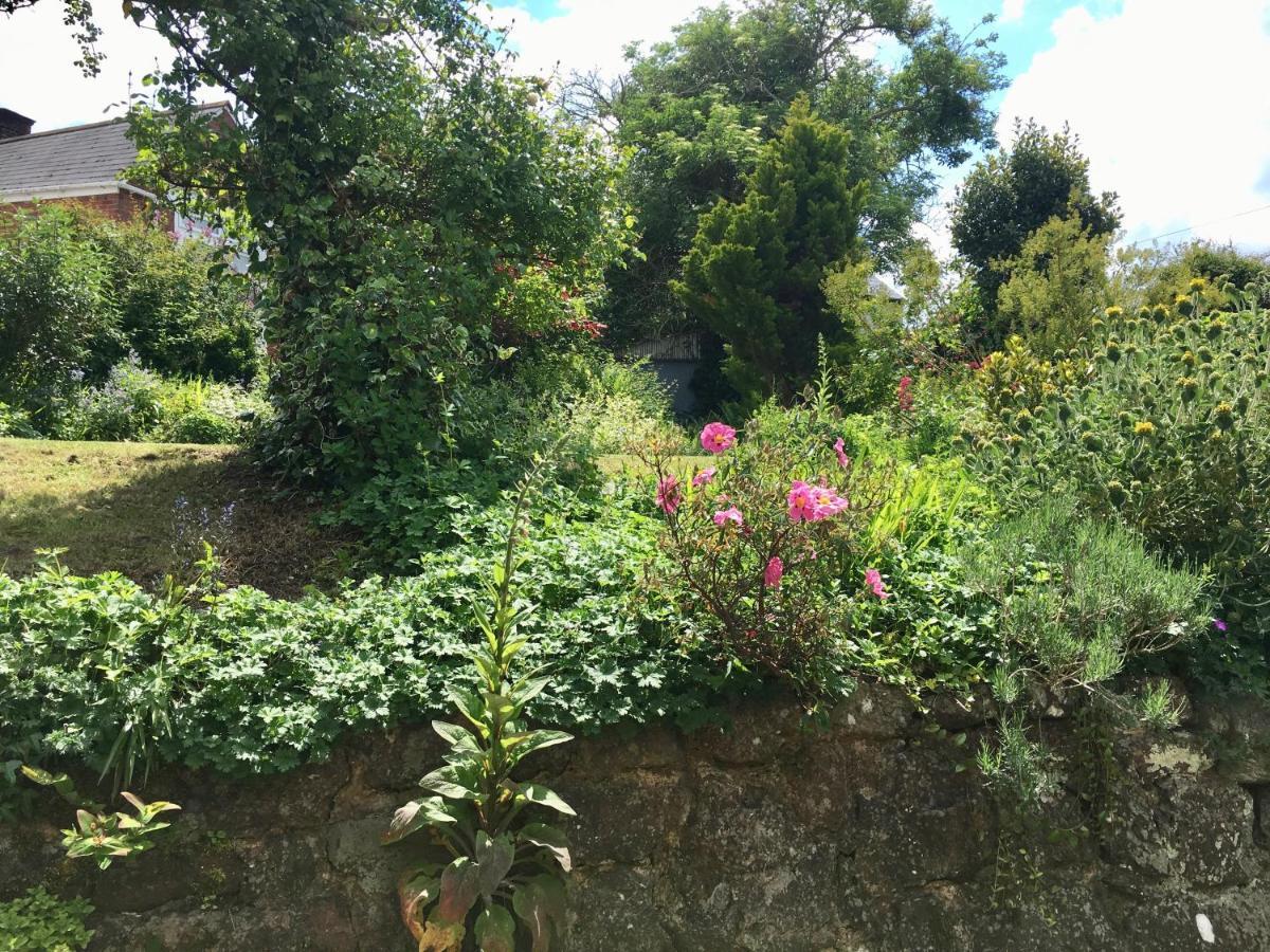 Secret Garden *