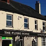 Flying Horse