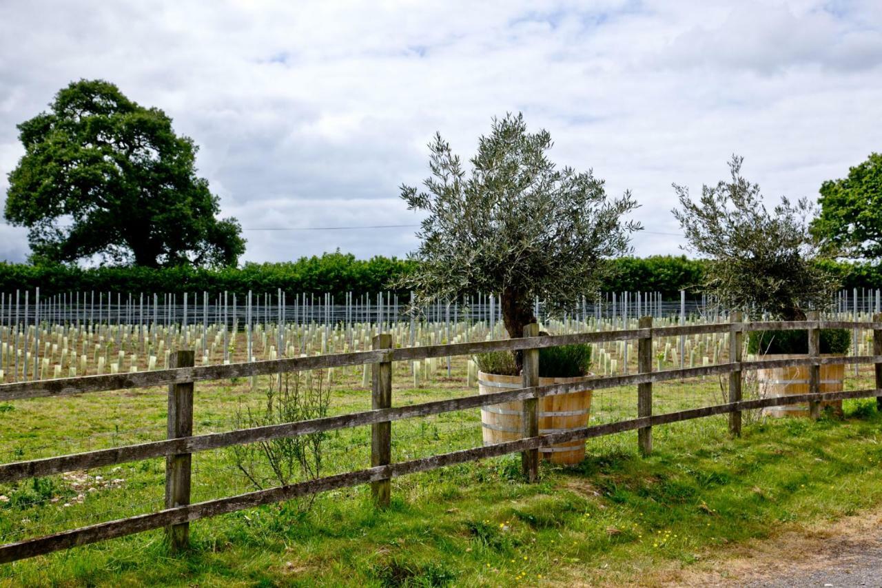 Holiday home The Wine Lodge, Kenton Park Estate, *